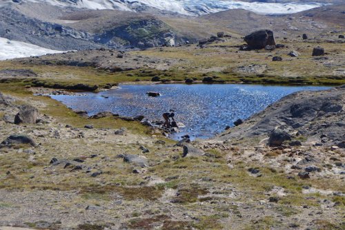 Water sampling